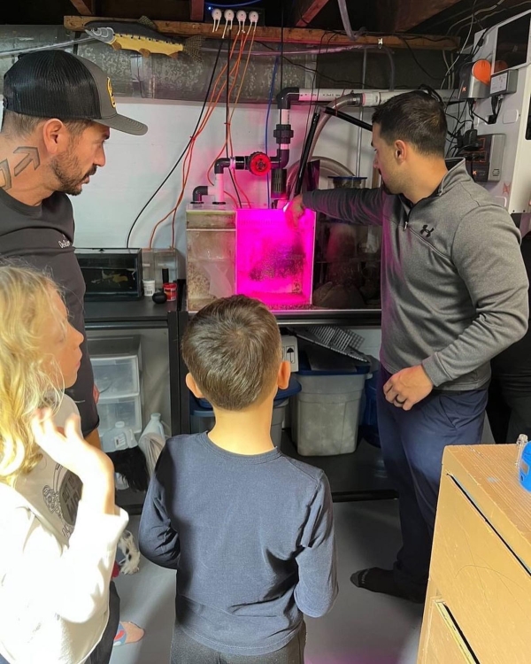 Peel Regional Aquarium Club